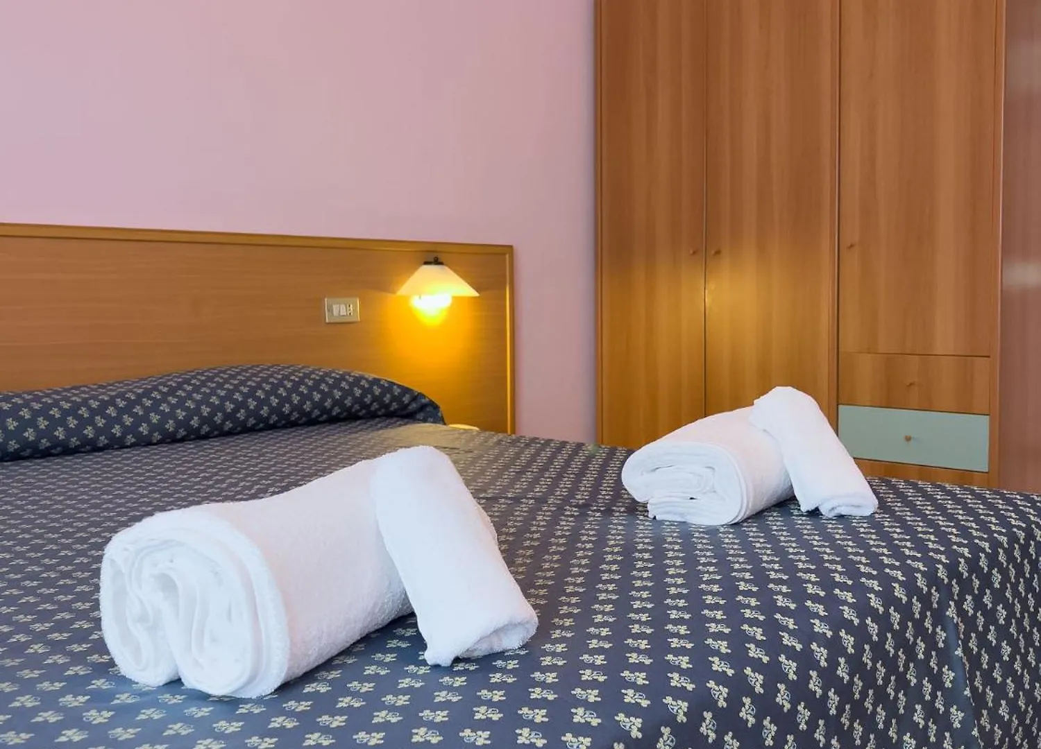 Hotel Benacus Torri del Benaco